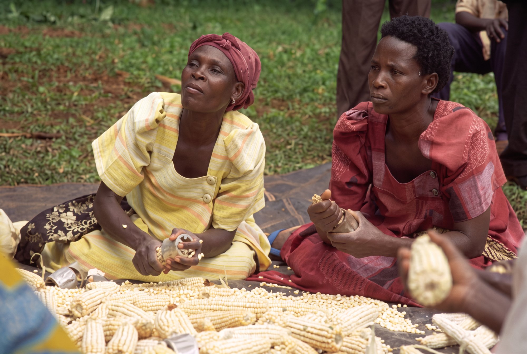 Women's group shelling maize, Uganda